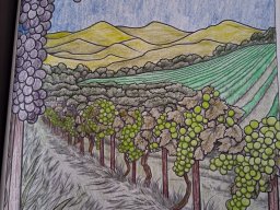 whatsapp bild 2025-10-20 um 13.14.02_0e8476a1